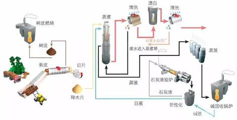 纸浆的生产流程和应用